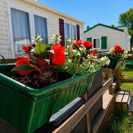 Casa Nature's Avlis 4xz Camping